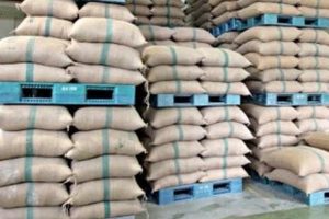 Narela和Najafgarh Mandis的采购柜台在MSP购买小麦