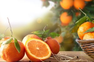 每天吃一个橙子保持健康
