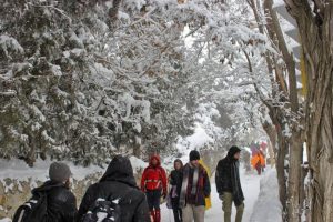 伊朗北部遭遇大规模降雪