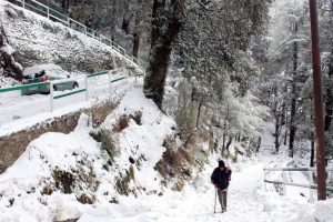 喜马偕尔有强烈寒潮，可能会有更多降雪