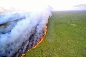 为了扑灭亚马逊大火，巴西禁止焚烧2个月