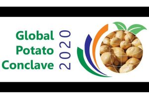 周二，总理将在古吉拉特邦举行土豆会议