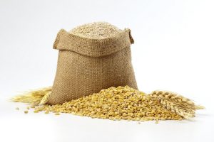 被困的小麦