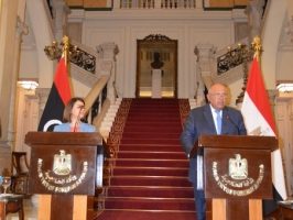 埃及和利比亚外长在开罗举行会谈