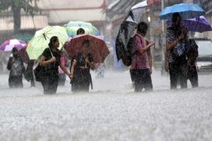 自6月1日以来，卡纳塔克邦暴雨造成39人死亡