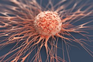 研究人员发现新的成像信息系统可以为某些癌症提供准确的预后
