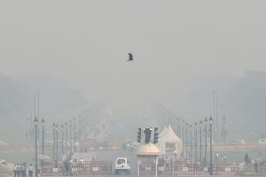 德里连续第三天被雾霾笼罩，空气质量指数“严重”