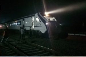 在古吉拉特邦，范德巴拉特火车与牛相撞