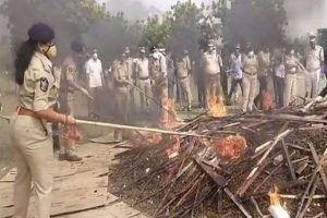 警方在安得拉邦查获并焚烧了大量大麻